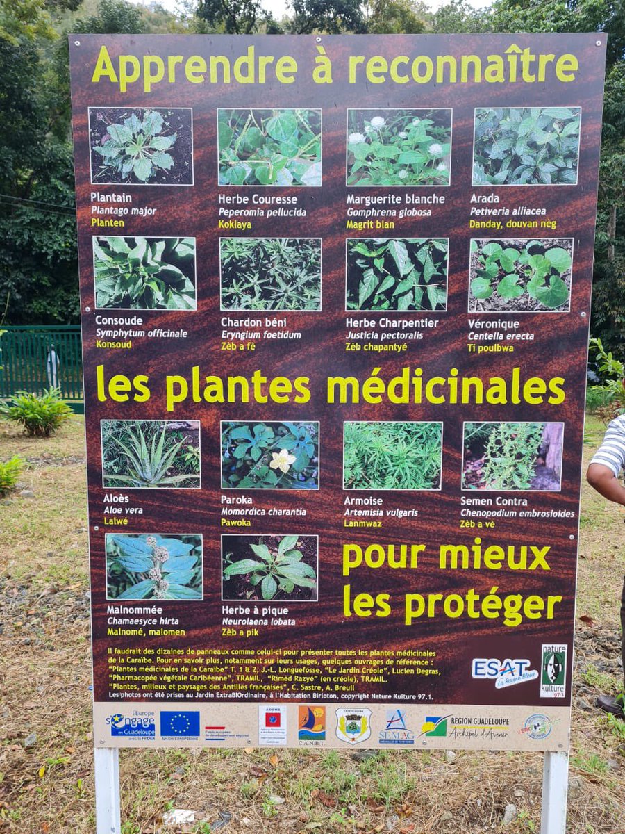 DitGustave's tweet photo. Aménagement paysager réalisé par @CRGuadeloupe à la déchèterie de @PointeNoire116 #CANBT. Un espace de déambulation pour grand public autour des plantes médicinales. @ademe @EuropGuadeloupe https://t.co/TOvihBFjdq