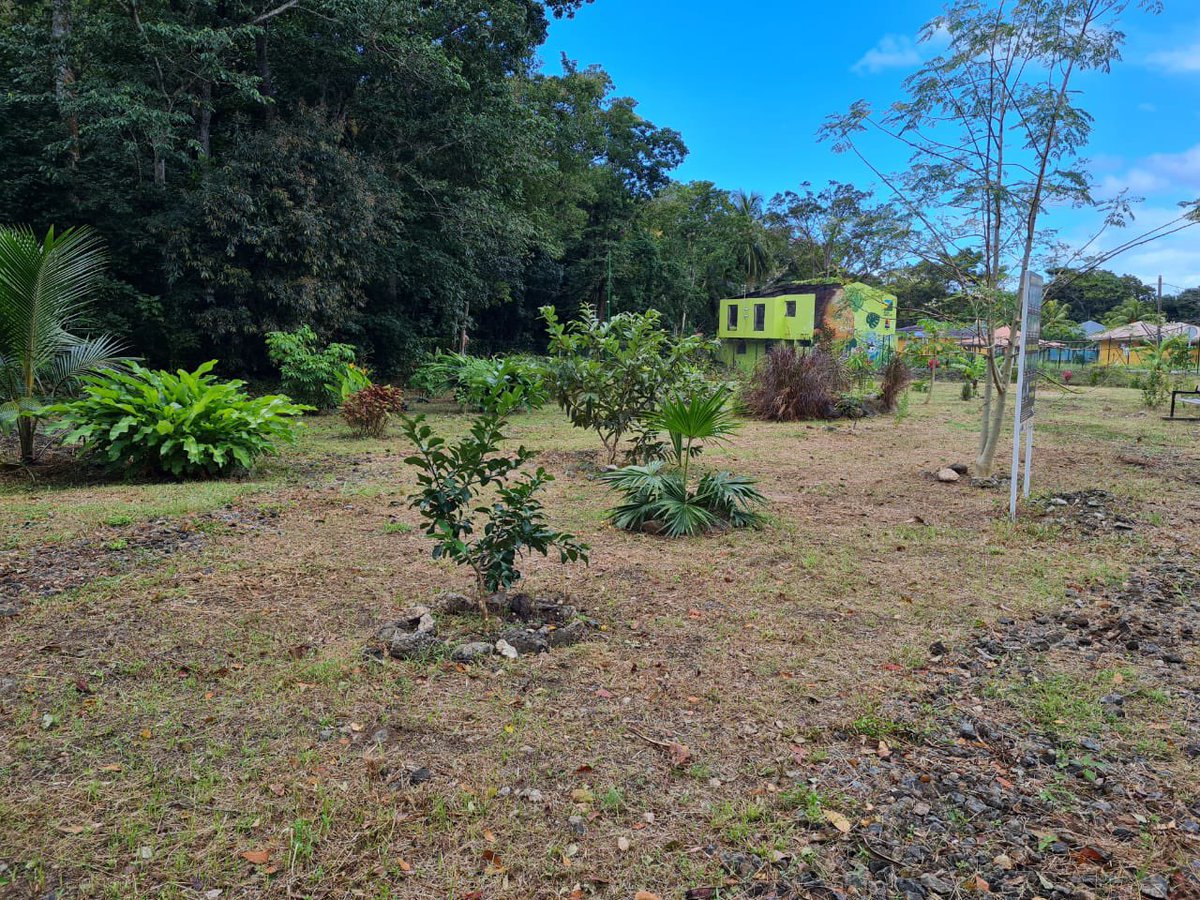 Aménagement paysager réalisé par <a href="/CRGuadeloupe/">Région Guadeloupe</a> à la déchèterie de <a href="/PointeNoire116/">Villepointenoire</a> #CANBT. Un espace de déambulation pour grand public autour des plantes médicinales. <a href="/ademe/">ADEME</a> <a href="/EuropGuadeloupe/">EUROPEENGUADELOUPE</a>