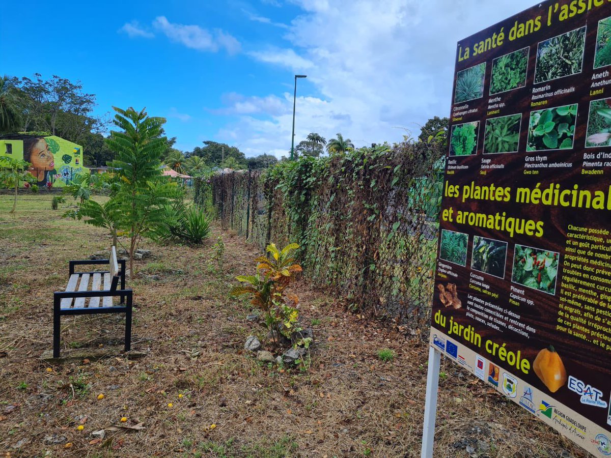DitGustave's tweet photo. Aménagement paysager réalisé par @CRGuadeloupe à la déchèterie de @PointeNoire116 #CANBT. Un espace de déambulation pour grand public autour des plantes médicinales. @ademe @EuropGuadeloupe https://t.co/TOvihBFjdq