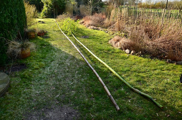 Garden_Notes's tweet image. Sturm, Orkan, Sturm im Wilden Garten: wildgardening.de
#Garten
