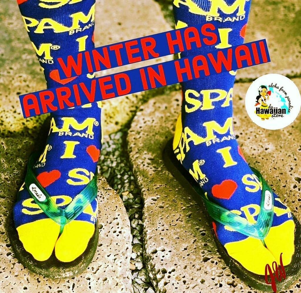 daHawaiianStore's tweet photo. Bundle up...winter is here...it’s even dipped into the 60’s some mornings. 🤣🤣 Brrrrrrrr. #hawaiiwinter, #mauiwinter https://t.co/t5Eeq4WbJH https://t.co/wjgzhc1QgI
