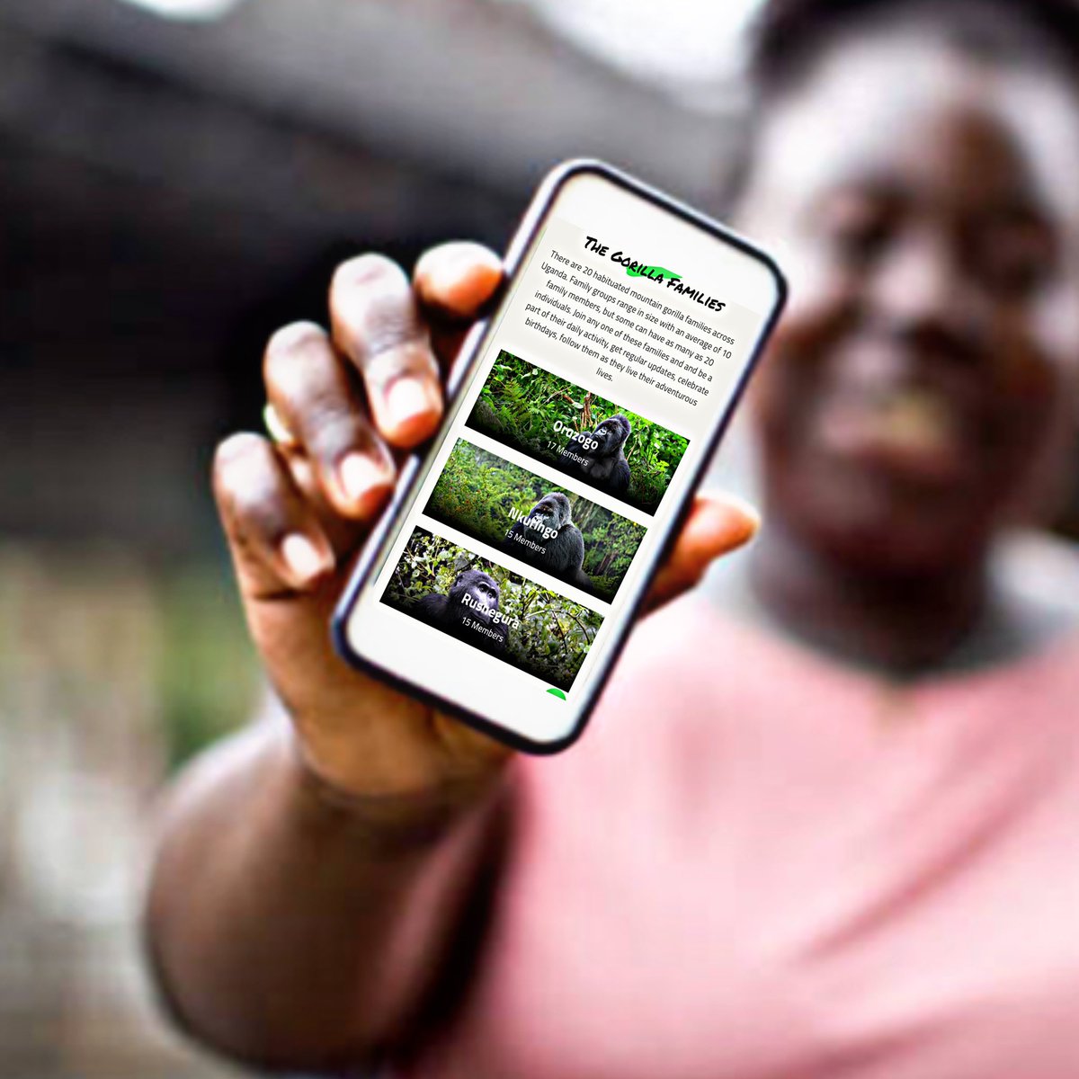 Are you thinking about a particular mountain gorilla family from either Uganda's Bwindi or Mgahinga Gorilla National Park? Download the <a href="/mygorillafamily/">My Gorilla Family</a> app now to get your special share of updates on the gentle giants. #ExploreUganda #MyGorillaFamily 🦍