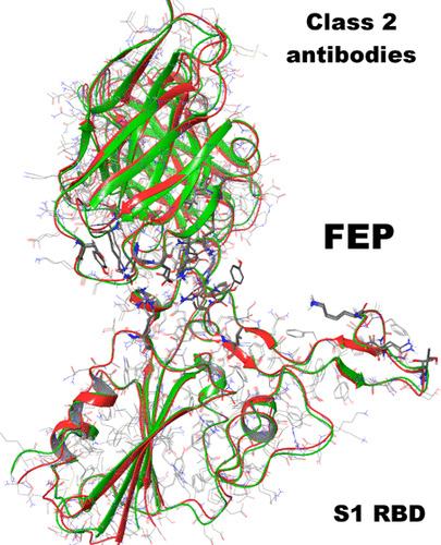 JCIM_JCTC's tweet photo. #R346K Mutation in the Mu Variant of #SARSCoV2 Alters the Interactions with Monoclonal Antibodies from Class 2: A #FreeEnergy Perturbation Study #COVID19 #drugdiscovery 
https://t.co/8KMjmDIe69   
@FFratev 
 #current_issue #compchem https://t.co/wIeKwus9HF