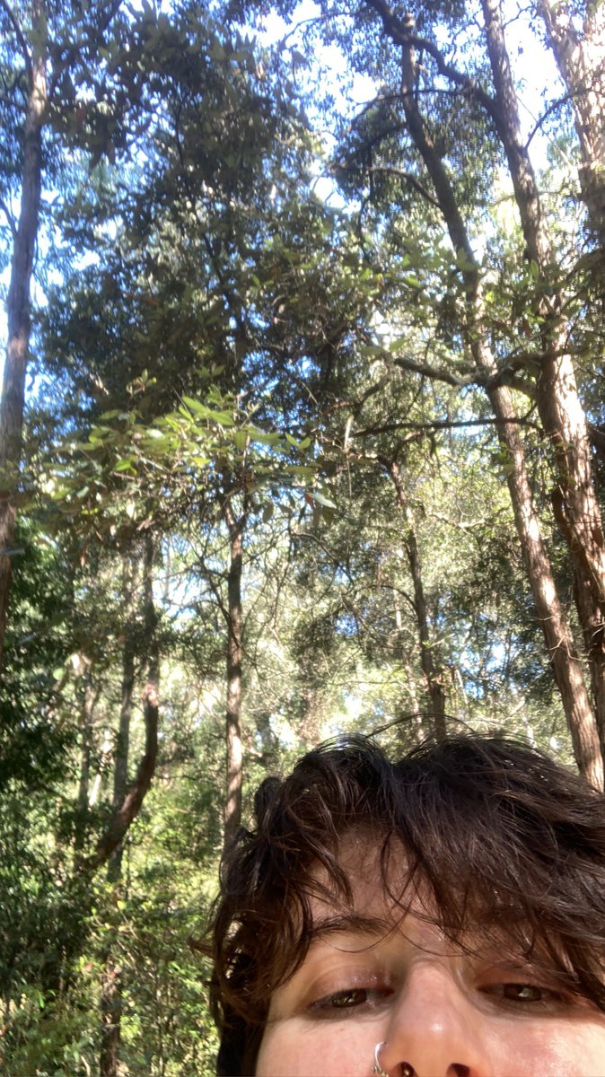 olive_ecology's tweet photo. The rain is unrelenting - so next week is my third attempt at my final experiment. It’s been difficult keeping my head up but now I’m sort of spitefully determined to get it done. Yeah, take that, sky. 👊 #ecology #fieldworkchronicles #science #tired https://t.co/N7EbElMfNK