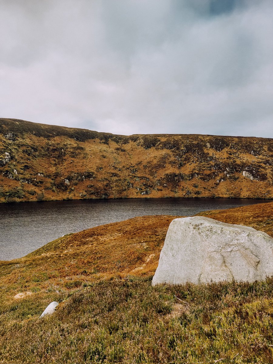 MatildeValg's tweet photo. A solid rock in a volatile world.
.
#Wicklow #NaturePhotography #nature #photography #wildrock #Peace #NFT https://t.co/y175EqIcT3