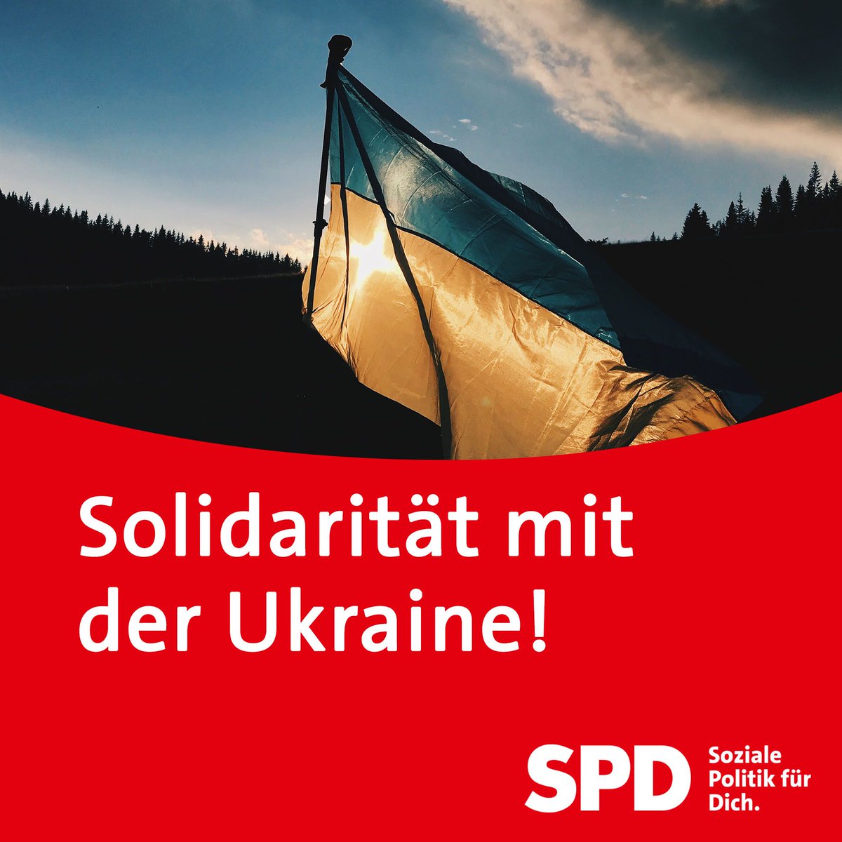 SPD Mainz-Neustadt tweet media