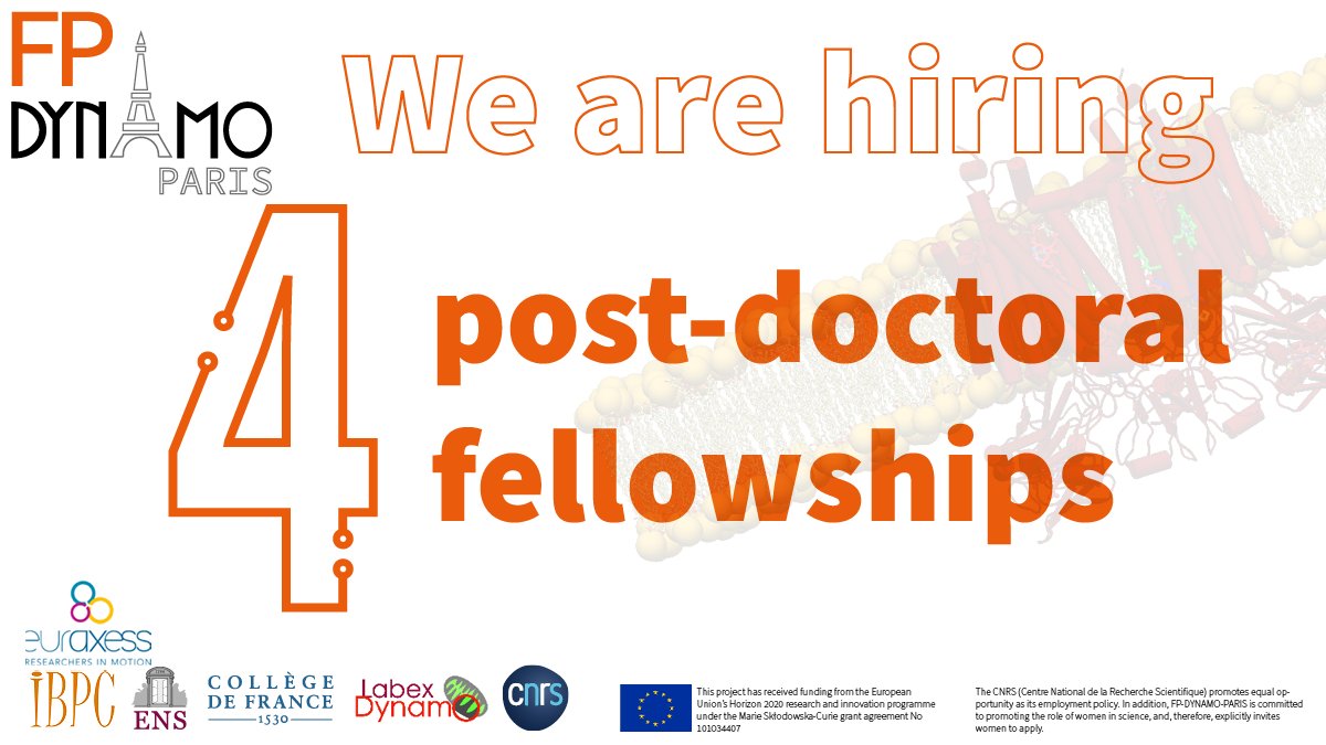 BPM_IBPC's tweet photo. #COFUND #FPDynamoParis
4⃣ #postdocjobs in #Paris in @MirouxLab
👉Decipher how iron is imported into #bacteria
👉Study inner #membrane proliferation
👉Working on reconstitution into #biomimetic systems?
👉Learn on #GPCR & energy landscape
🖱️Go to https://t.co/ER6WsRatex https://t.co/arc0cl6xUM