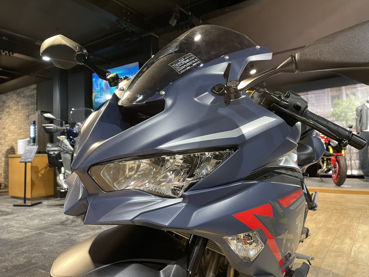 なおさと様 竜図 阿吽双龍 スカ和柄スニーカー/靴/1501PFZ01HS/送料無料【楽