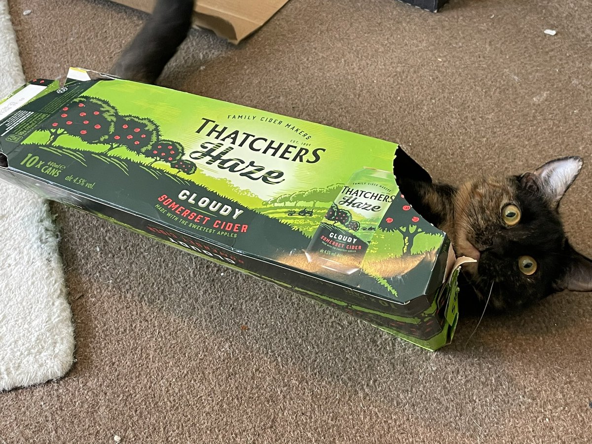 How are you celebrating Thursday? Pepper has started on the @thatchers_cider and is getting a little tipsy, whereas the designated driver, Aspen, wants to put a stop to such nonsense. https://t.co/bNN8KU1SlV