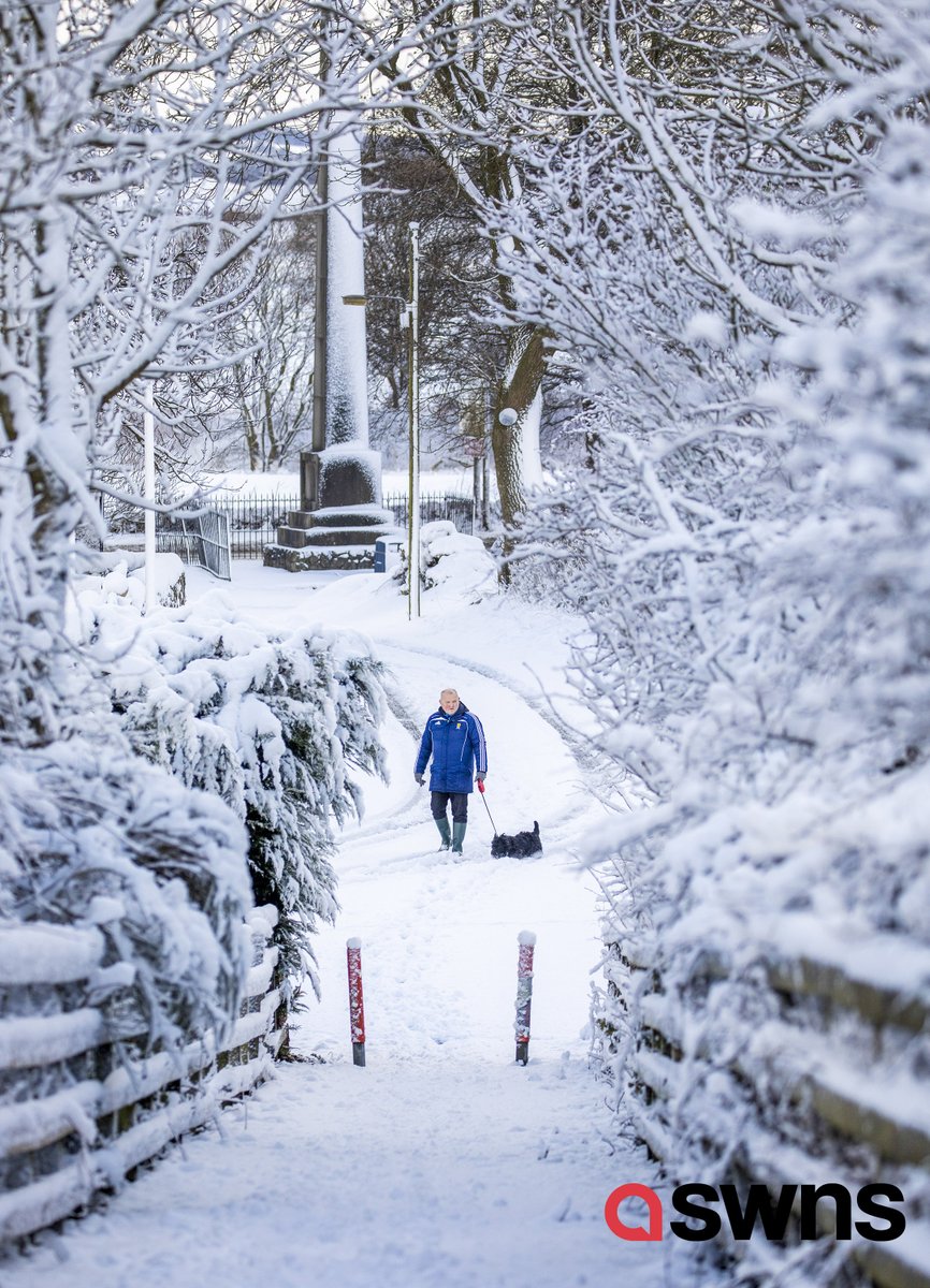 KtLeeArrowsmith's tweet photo. Scotland gets snow!
@SWNS #UKSnow #ScotlandSnow https://t.co/0FcaN3rIj2