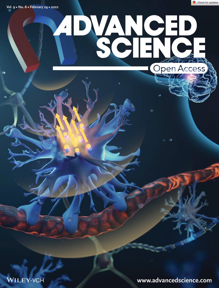 On the Cover of Advanced Science Today. Our new paper: Touch sensitive brain cells controlled by micromagnets onlinelibrary.wiley.com/doi/full/10.10… @RebeccaRBaker29 @ruidiyu @CABI_UCL @uclnews @uclmedsci @AdvSciNews @CMI_UCL @HealthUCL @Health_Eng