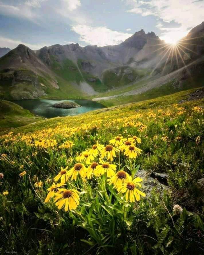 صباح السعادة