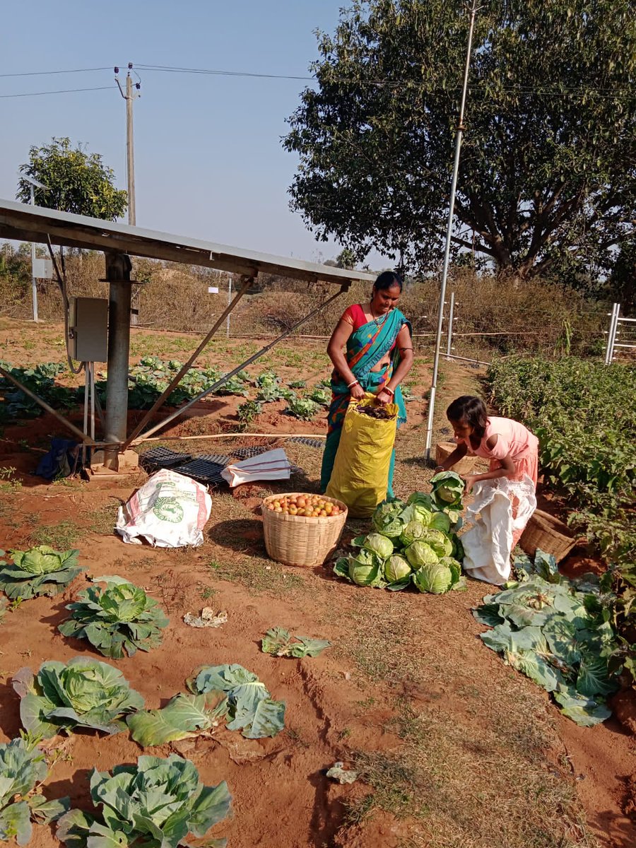 @ikea_foundation <a href="/SustainPlusSDG7/">SustainPlus</a> <a href="/SocialAlphaIN/">Social Alpha</a> <a href="/SELCOFoundation/">SELCO Foundation</a> ensuring the ecosystem for small farmers with integration #DRE at scale has to be key focus meeting their aspirations the resilience, #sustainplus <a href="/SustainPlusSDG7/">SustainPlus</a> with @ikea_foundation is scaling #DRE #smallholder
