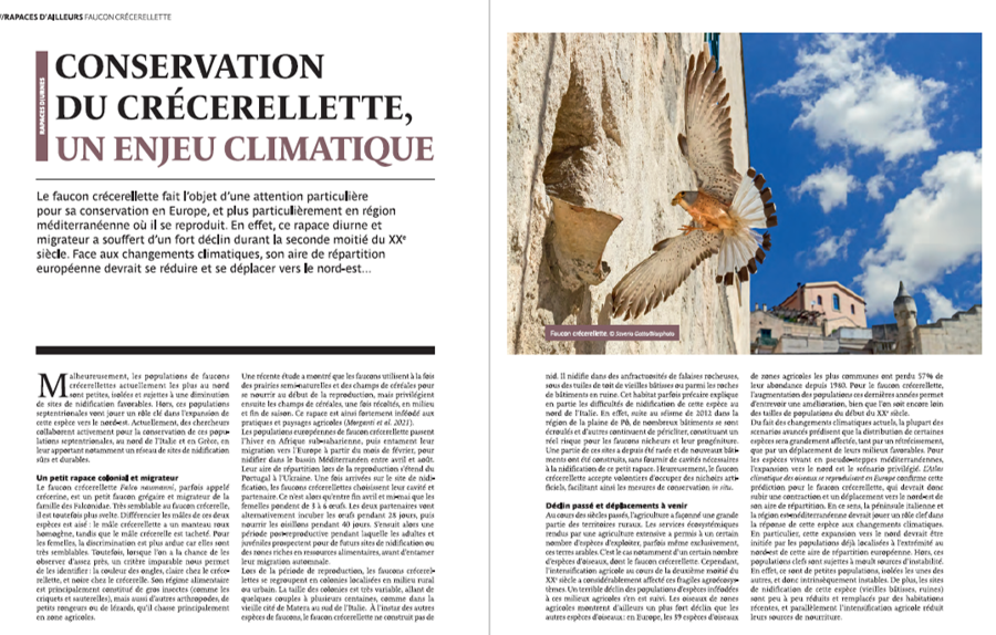 @lifefalkon tweet media