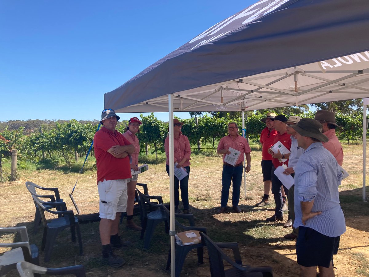 Good morning with Bayer learning about new products in the pipeline for wine grape diseases <a href="/filfarina/">Fil Farina</a> <a href="/darrenbayer2015/">Darren Alexander</a> <a href="/hughmungus65/">Hugh Armstrong</a>