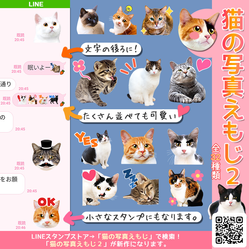 Kikuko 3匹飼い 大好評の 猫の写真えもじ に2が登場 猫 の写真えもじ2 です たくさん並べて使っても可愛い絵文字です 文字の後ろに入れるだけでなく 一個だけ押すとミニスタンプにもなります ぜひ見てくださいね T Co Kikuko 3匹飼い 大好評の 猫の写真えもじ に2が登場 猫 の写真えもじ2 です たくさん並べて使っても可愛い絵文字です 文字の後ろに入れるだけでなく 一個だけ押すとミニスタンプにもなります ぜひ見てくださいね T Co