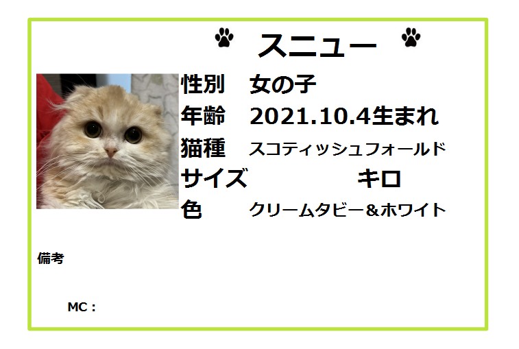 保護猫カフェ鶴橋店 2階 元保護猫カフェマンチカン 里親募集 スコティッシュフォールド スニュー 21 10 4生 初めてのおもちゃにビックリしていましたが 徐々に遊んでくれました めちゃめちゃ可愛く お問合せも多いです 後ろ脚が 保護猫カフェ鶴橋店 2階 元保護猫カフェマンチカン 里親募集 スコティッシュフォールド スニュー 21 10 4生 初めてのおもちゃにビックリしていましたが 徐々に遊んでくれました めちゃめちゃ可愛く お問合せも多いです 後ろ脚が