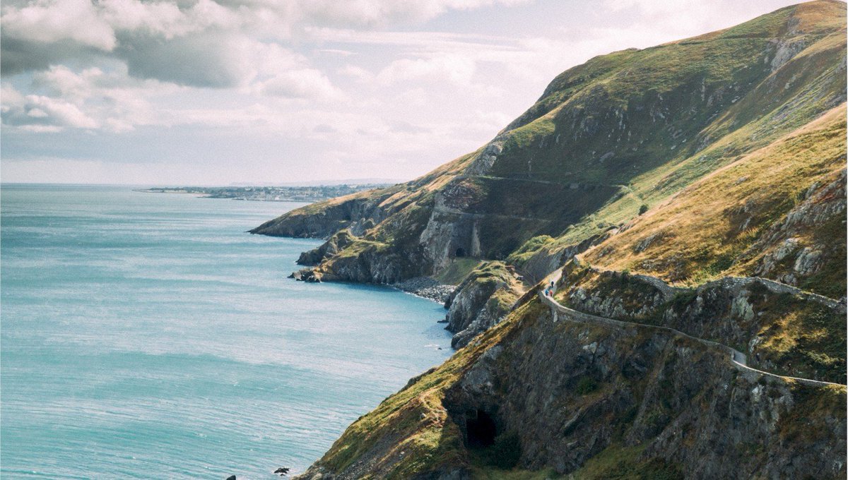 Our next #PostDoc social event is a lovely Bray Cliff walk hike (there &amp; back due to current closures visitwicklow.ie/listing/cliff-…) with burgers afterwards (Vegan and Veg options available). 
Next Saturday March 5! DM us/email postdocreps@rcsi.ie to let us know if you want to join!