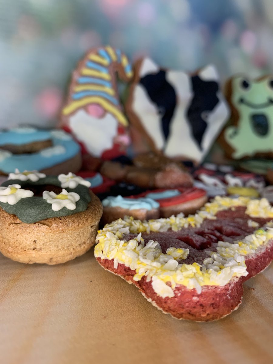 A little exclusive sneak peek at our Spring Range that’ll be released tomorrow at 5pm 👀

#dogsoftwitter #dogtreats