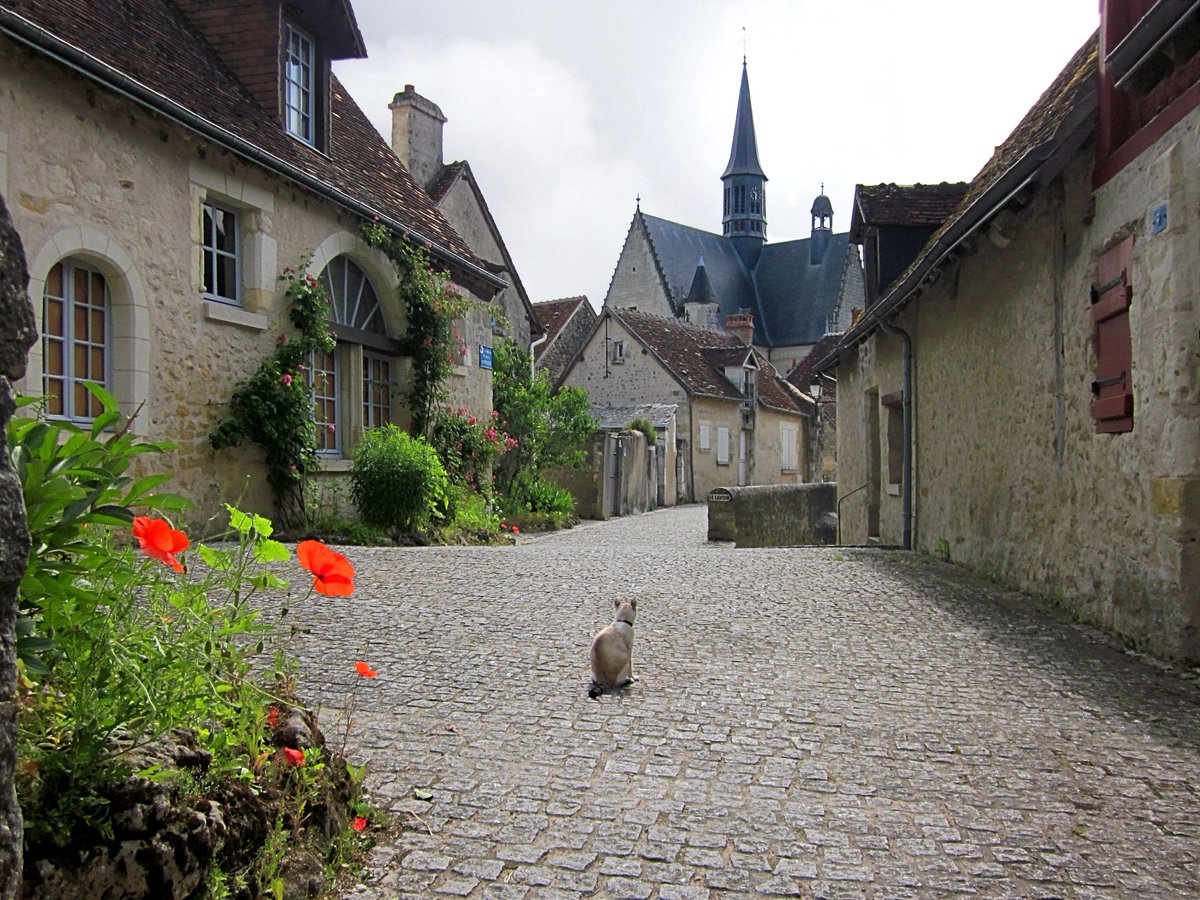 MyLoireValley's tweet image. Le paisible village de Montrésor... et son gardien à quatre pattes ! 🐱

📸 Guy Dugas - #ValdeLoire #Touraine #Montrésor