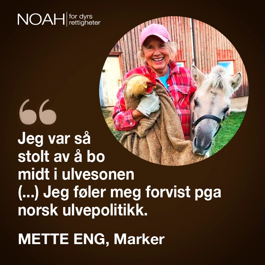 SilverFokz68's tweet photo. Hvorfor viser du folket finger'n @EspenBarthEide? Er dette #demokrati? Vanlige folks tur? Alle skal bli hørt? #ulvesone #ulvekonflikt #ulvedreping #ulvejakt #ulveslakt #ulvemassakre #rovmord #rovvilt #ulv #ulver #diktator #fanatiker https://t.co/K82CCY5CaD
