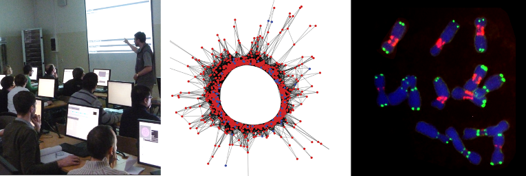 RepeatExplorer's tweet photo. Registration to the RepeatExplorer Workshop is open ! This year we will have in-person event again (May 24-26). More info and registration: https://t.co/FkJ3F3FgWQ https://t.co/DYg6hzPrDI