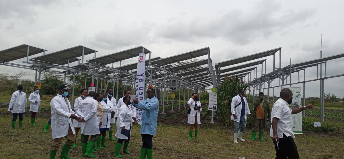 Quick stats from the #Agrivoltaicsystem in Latia.
From a 500m2 Area, we've had;
#electricityproduction - 18.1 MWh
#Energysavings - $530/m off energy bills
#CO2 Savings - 9.6 tonnes