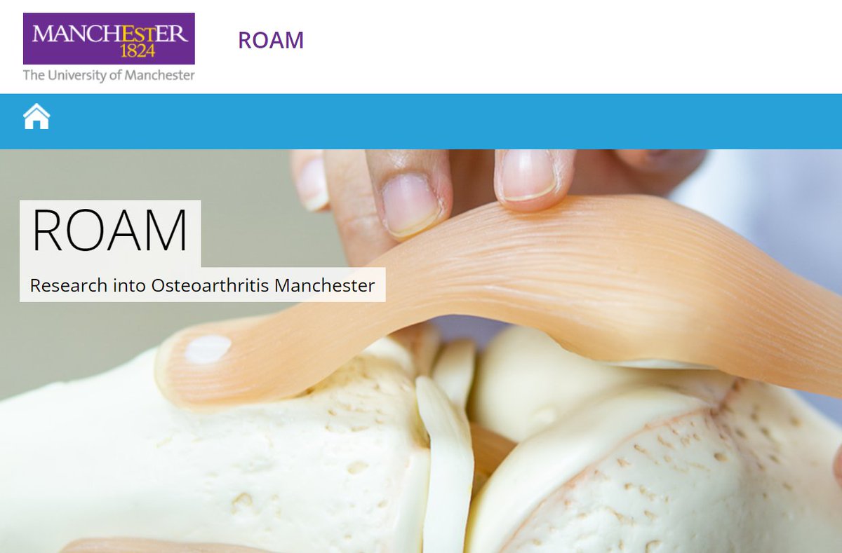 CfE_UoM's tweet photo. We have just launched a new website showcasing the #Research in #Osteoarthritis Manchester (#ROAM) projects!

Find out:
➡ why we focus on treatments for #knee #OA
➡ how to take part in our current study #PROP-OA
➡ more about our previous studies

👉 https://t.co/hBQgGzzTNQ https://t.co/QyM1Qo69Zj