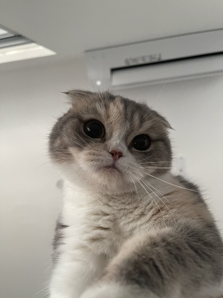 บอกว่าอย่าอมข้าววไงก้า!!!