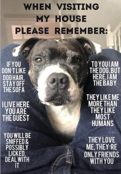 Pinched from Facebook! xx https://t.co/2Vm4llx2o7<a href="/tag/retweet"class="tags"><span>#retweet</span></a>