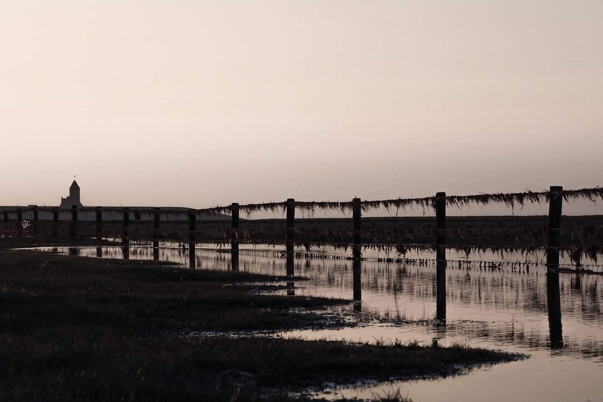 Buitendijks bij Wierum.