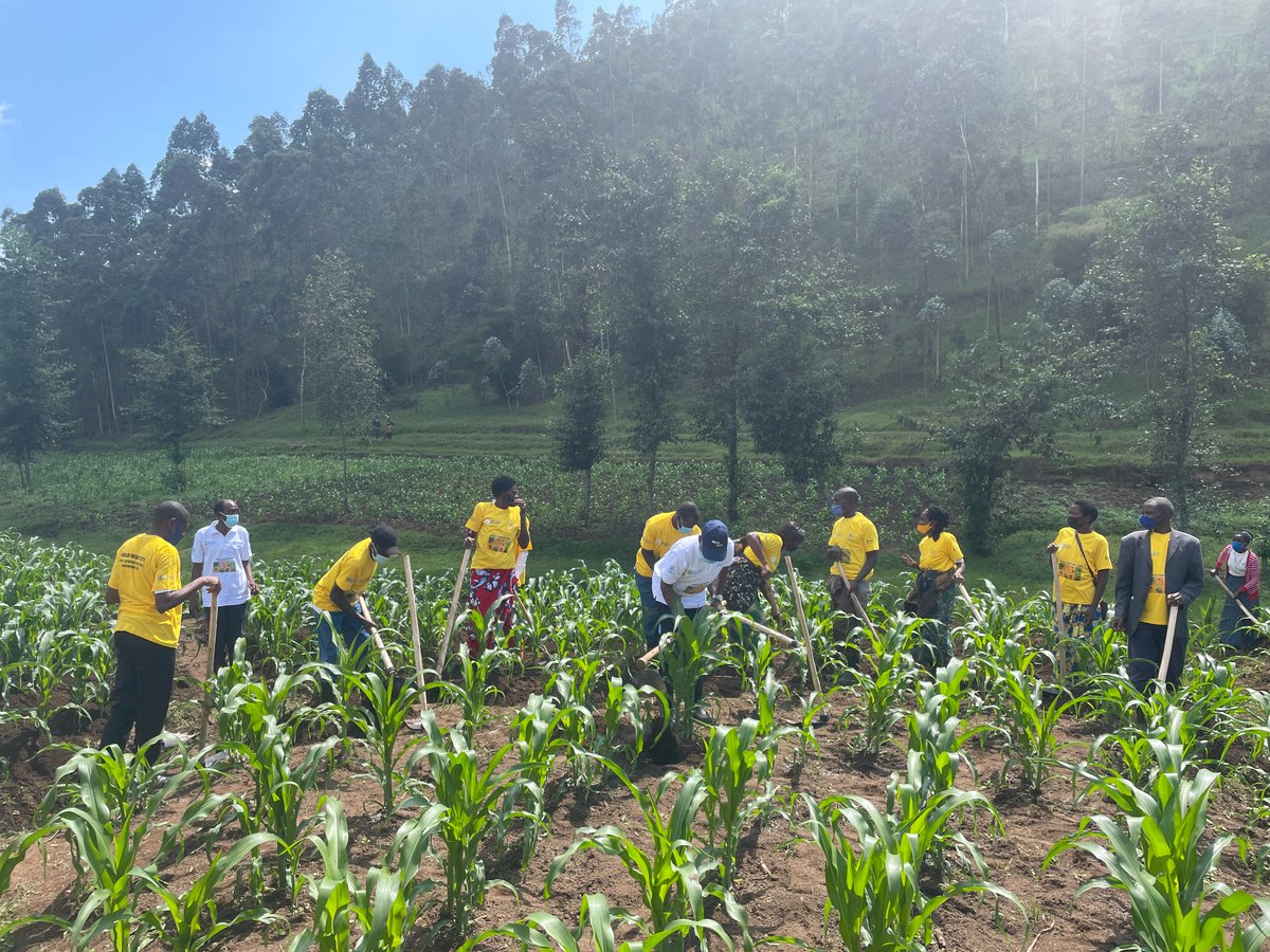 IFPRIRwanda's tweet photo. 📢New @IFPRIRwanda research out now! Check out our latest paper on public investment prioritization for #Rwanda’s inclusive #agricultural transformation, where we look at outcomes on 4 development goals:
📈GDP
👷🏾‍♀️Employment
📊Poverty
🍽️Diets
Read it here: https://t.co/l8QzG11zrA https://t.co/c0cQC0qNTk