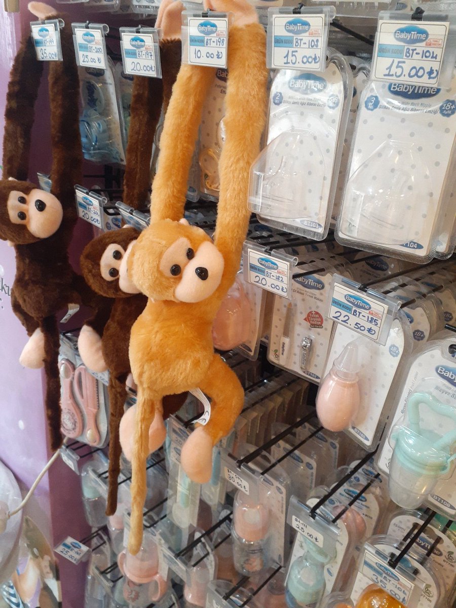 Türkiye’de hayatta kalmaya çalışıyorum