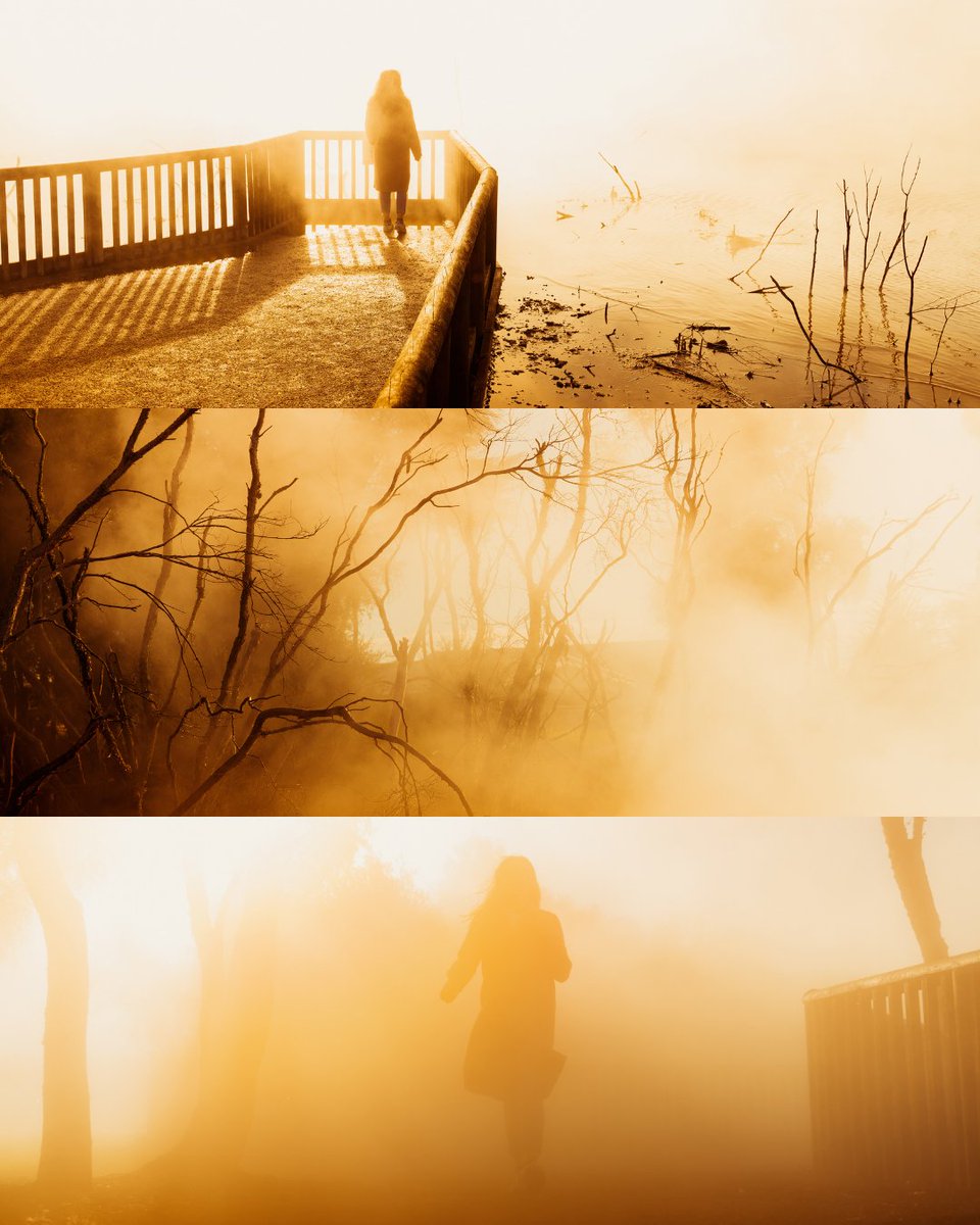 daynmoron's tweet photo. Gm photographers &amp; frens☕️

Can you guess which film I got inspired by? 📽️ https://t.co/XPUs3td9uU