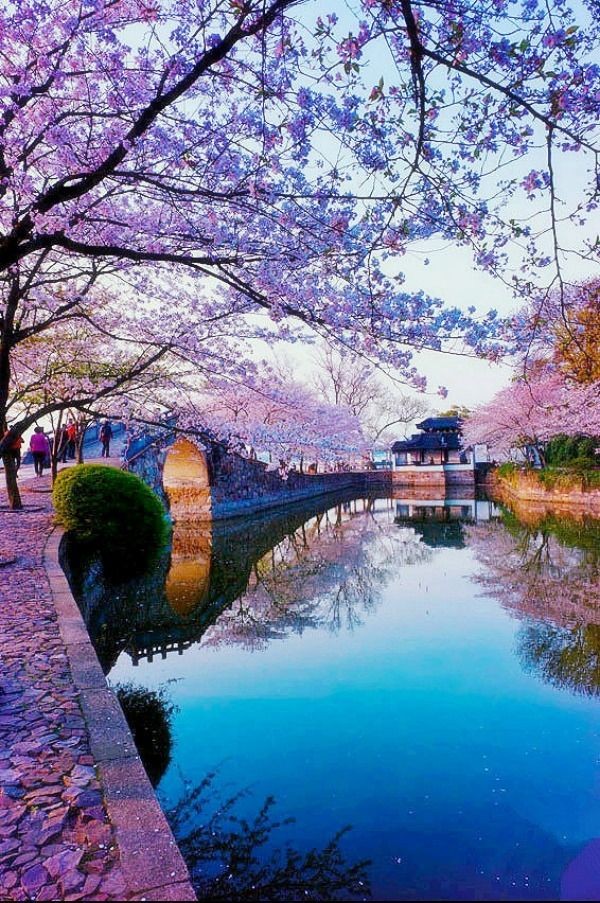 #NaturePhotography 
...my favorite💗