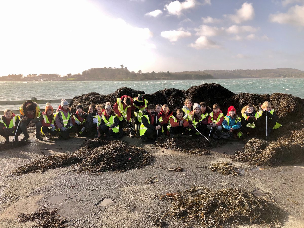 Public Engagement MHLS (@qubengagemhls_d) on Twitter photo Sea the Damage with Queen's University Marine Lab & Northern Ireland Science Festival.
P6 students from Kircubbin Integrated Primary School took part in a beach clean along the Portaferry shoreline.
<a href="/niscifest/">NI Science Festival</a> <a href="/QueensMarineLab/">QueensMarineLab</a> <a href="/emmsyg1/">Emma Gorman</a> Sea the Damage with Queen's University Marine Lab & Northern Ireland Science Festival.
P6 students from Kircubbin Integrated Primary School took part in a beach clean along the Portaferry shoreline.
<a href="/niscifest/">NI Science Festival</a> <a href="/QueensMarineLab/">QueensMarineLab</a> <a href="/emmsyg1/">Emma Gorman</a>