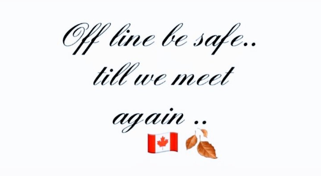 🔆🍁Leaf 🇨🇦 tweet media