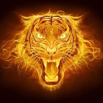Aad_Mr's tweet photo. #FotoProfilBaru https://t.co/oaw7P2ffEz
