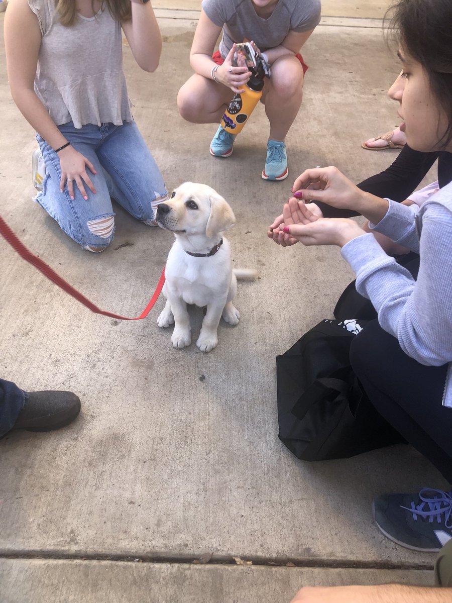 kristina_hoff's tweet photo. I surprised my students by taking them to participate in UGA’s mental health and well-being initiative, #BeWellUGA, where they spent time with therapy dogs before class. The students loved it. The dogs loved it. I loved it. It was a great day! #MentalHealthMatters https://t.co/rR2HFFtVmD