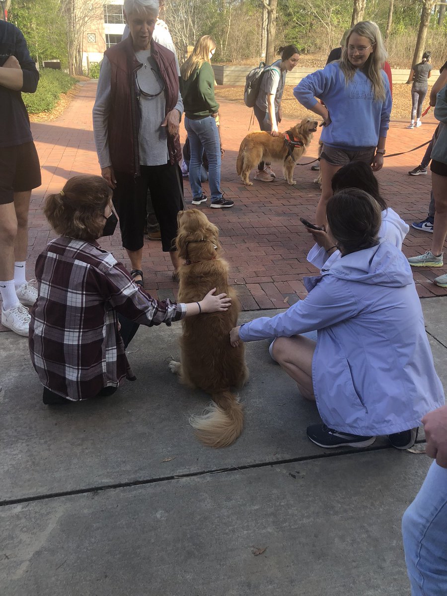 kristina_hoff's tweet photo. I surprised my students by taking them to participate in UGA’s mental health and well-being initiative, #BeWellUGA, where they spent time with therapy dogs before class. The students loved it. The dogs loved it. I loved it. It was a great day! #MentalHealthMatters https://t.co/rR2HFFtVmD