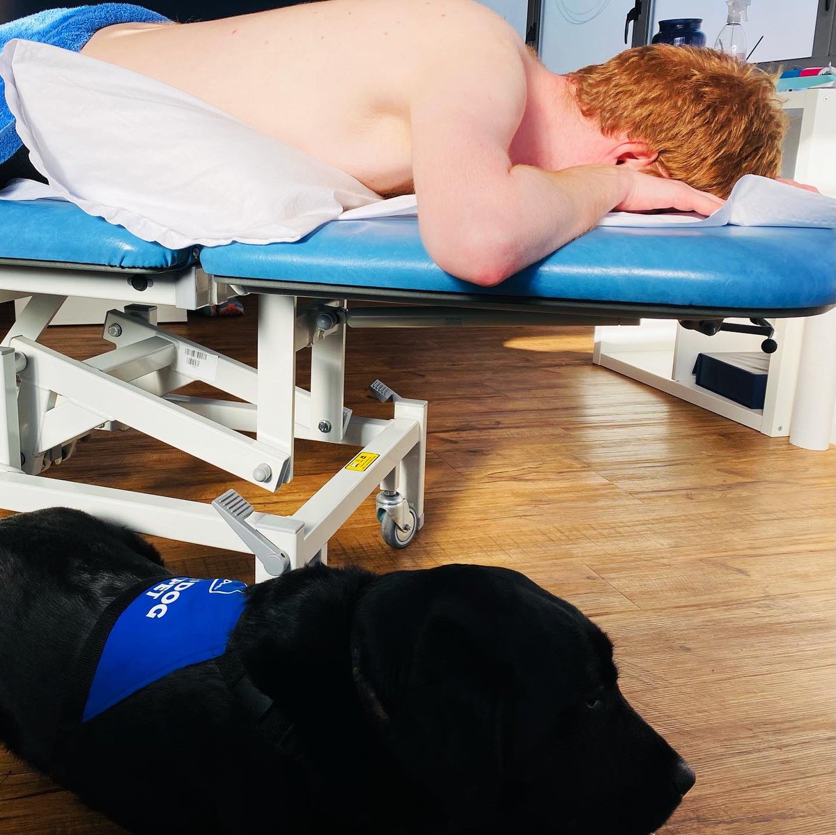 Fantastic to have some motivation for our physio session this afternoon at The Sports Injury Clinic with Anna with some exercises and a massage 💙💪🏼 #ThursdayMotivation #EquestrianArenasLtd #SportsInjuryClinicDerby #RDAUK #AssistanceDog #Teamwork #ParaEquestrian @Equinearenas