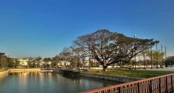 °หึ° tweet media