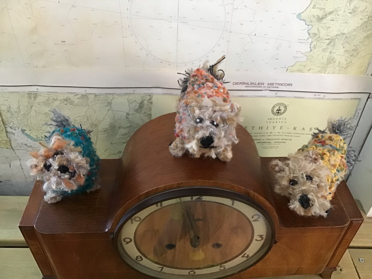 borderbears's tweet image. #yorkie #yorkshireterrier
looking for furever homes £25 each or all three for £50 including shipping from Norway