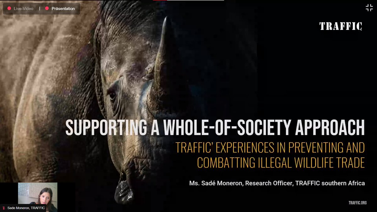 UNODC against Organized Crime tweet media