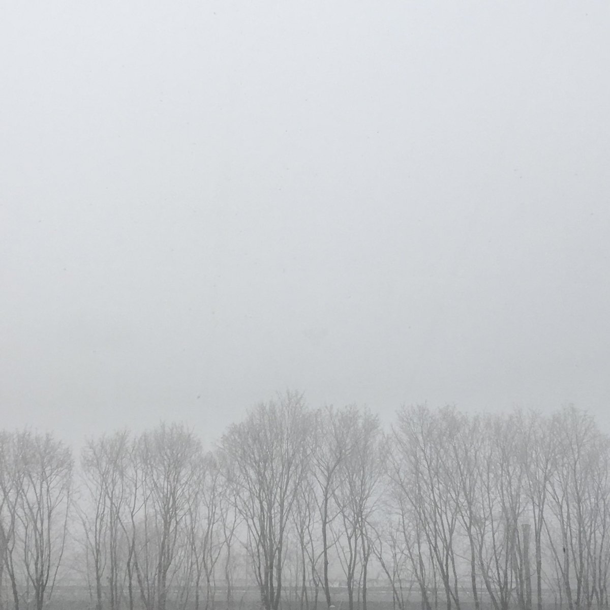 Always these trees I see at #Kyiv airport along the road to the #Ukraine capital 20k away. Today a scene of occupation &amp; war. Speechless. In pain. Repeating again a song by <a href="/OfficialSting/">Sting</a> titled Russians…There's no such thing as a winnable war It's a lie we don't believe anymore