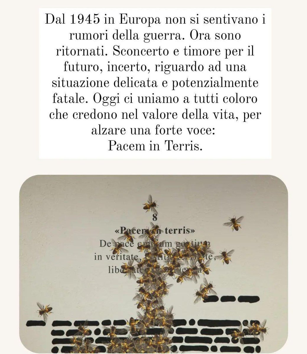 Oggi ci uniamo a tutti coloro che credono nel valore della vita, per alzare una forte voce:
Pacem in Terris