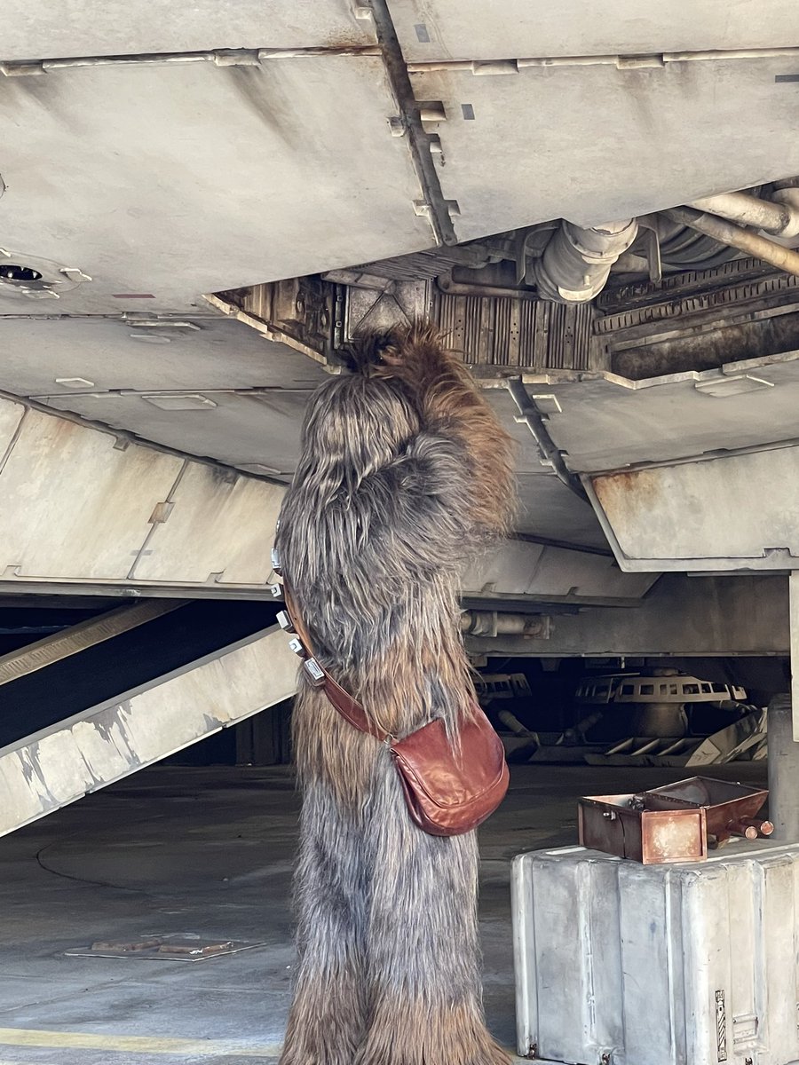 DYLewPhoto's tweet photo. #chewbacca #StarWars https://t.co/tHvfSJ7FCI