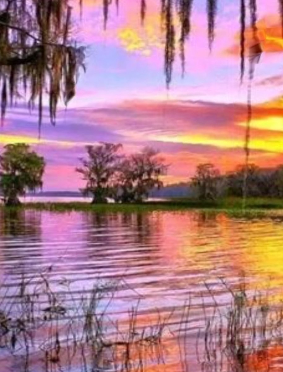 Wim 🇧🇪🇮🇱❤️☘️☕🏆🙏♨️⚽ tweet media