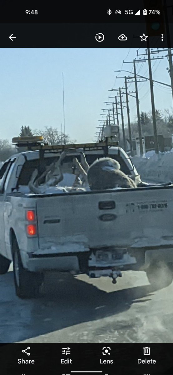 stfrancoisx's tweet photo. You might figure that while you were going to go through a #timhortons drive thru, that one might not have a bunch of roadkill poking out of the back of their truck. I appreciate them keeping our roads clear. But come on dude, tarp it up. https://t.co/LBRGOqLuWR
