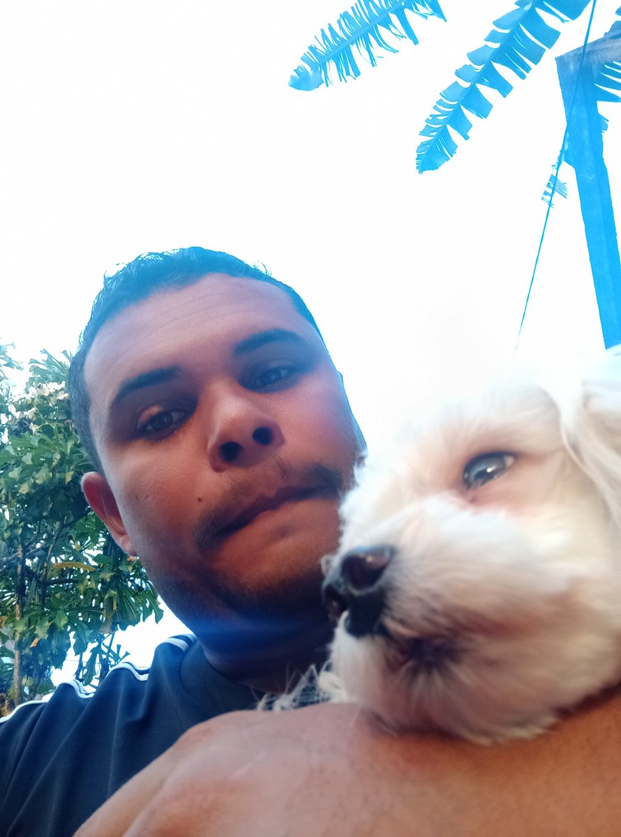 thyplay's tweet image. 